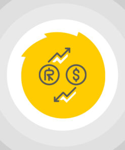 سیستم چند ارزی