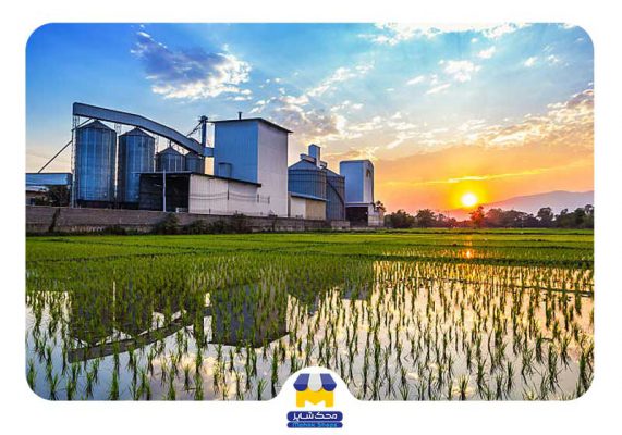 عکس وسط صفحه نرم افزار حسابداری برنج فروشی