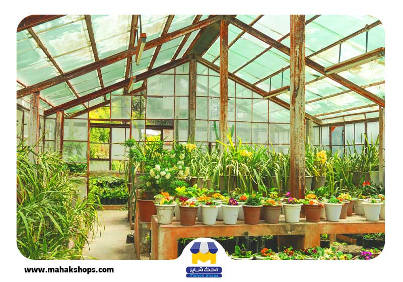 نرم افزار حسابداری گلخانه